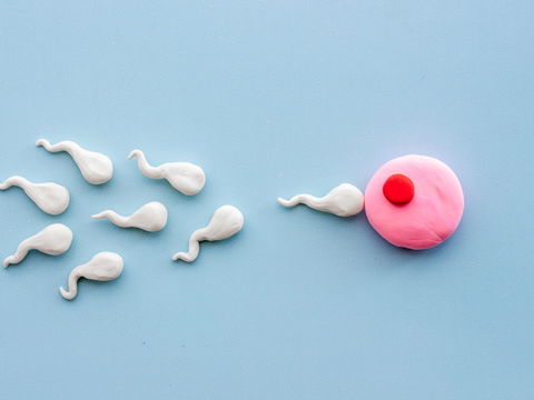Kinderwunsch: Diese 3 Tipps steigern die Fruchtbarkeit