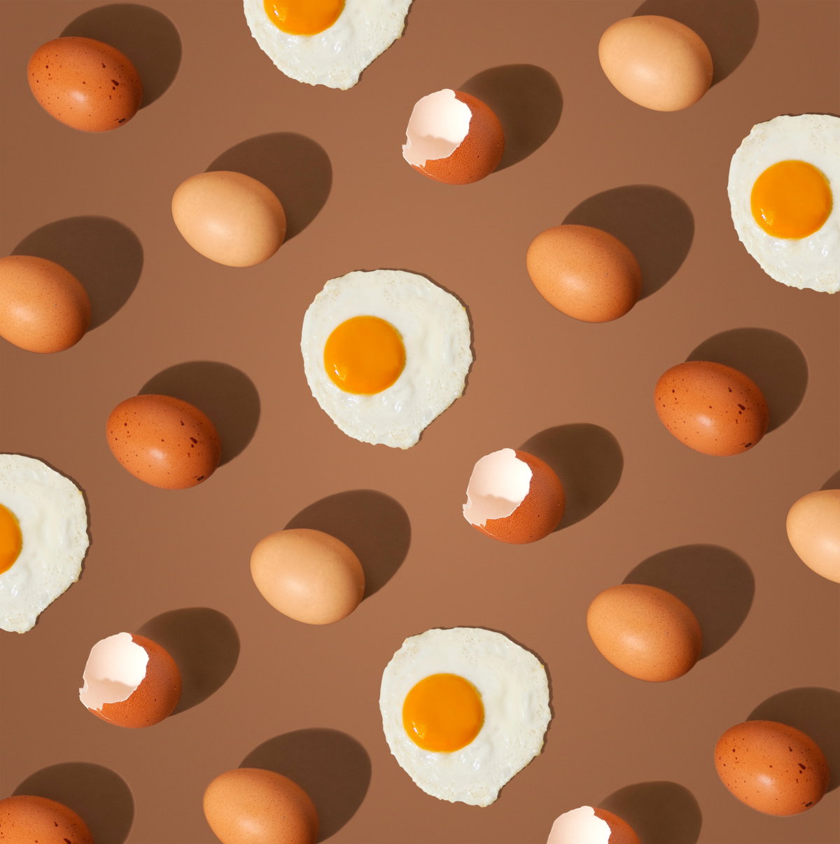 Eier