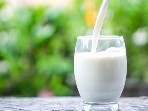 Diese Milchalternative hat am wenigsten Kalorien