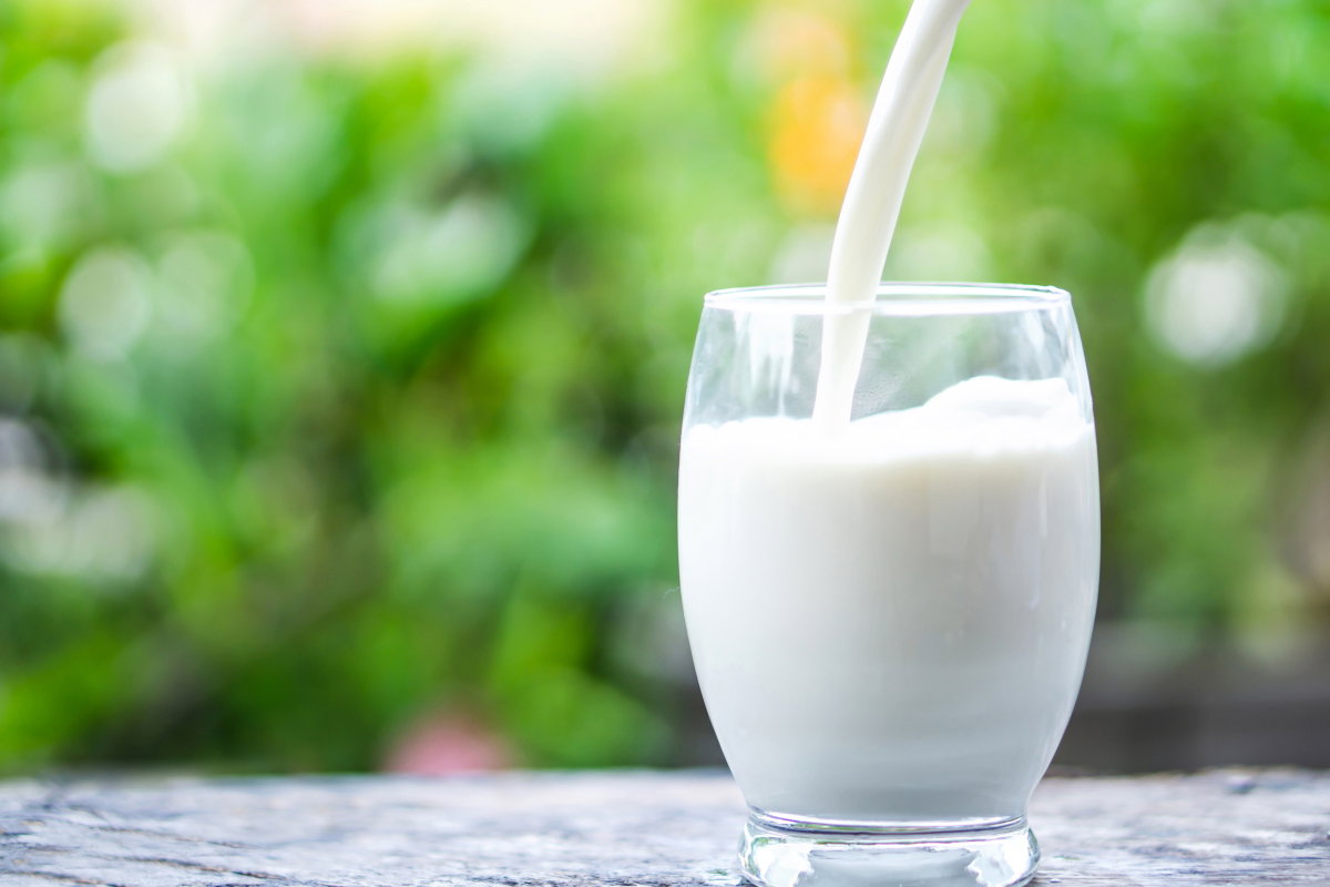 Glas Milch