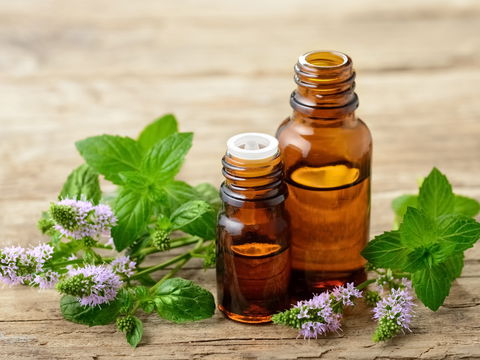 Minzöl: Inhaltsstoffe, Anwendung und Wirkung 