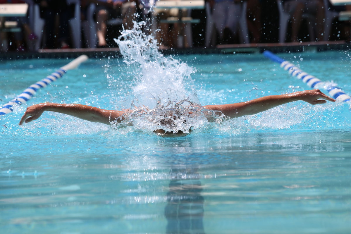Schwimmer
