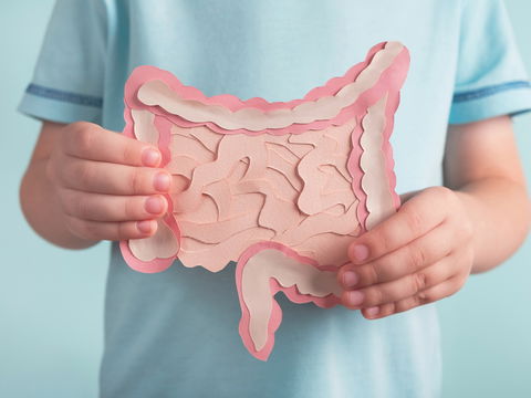 Stuhltransplantation: So verbessert die Stuhlspende die Darmflora