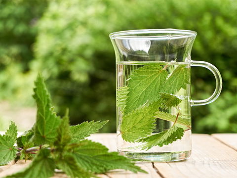 Brennnessel-Haarwasser selber machen: So geht’s