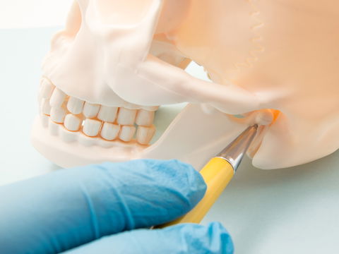 Kiefergelenkarthrose: Ursachen, Symptome und Behandlungsmöglichkeiten
