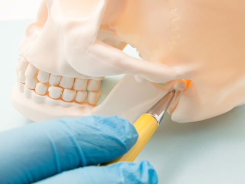Kiefergelenkarthrose: Ursachen, Symptome und Behandlungsmöglichkeiten