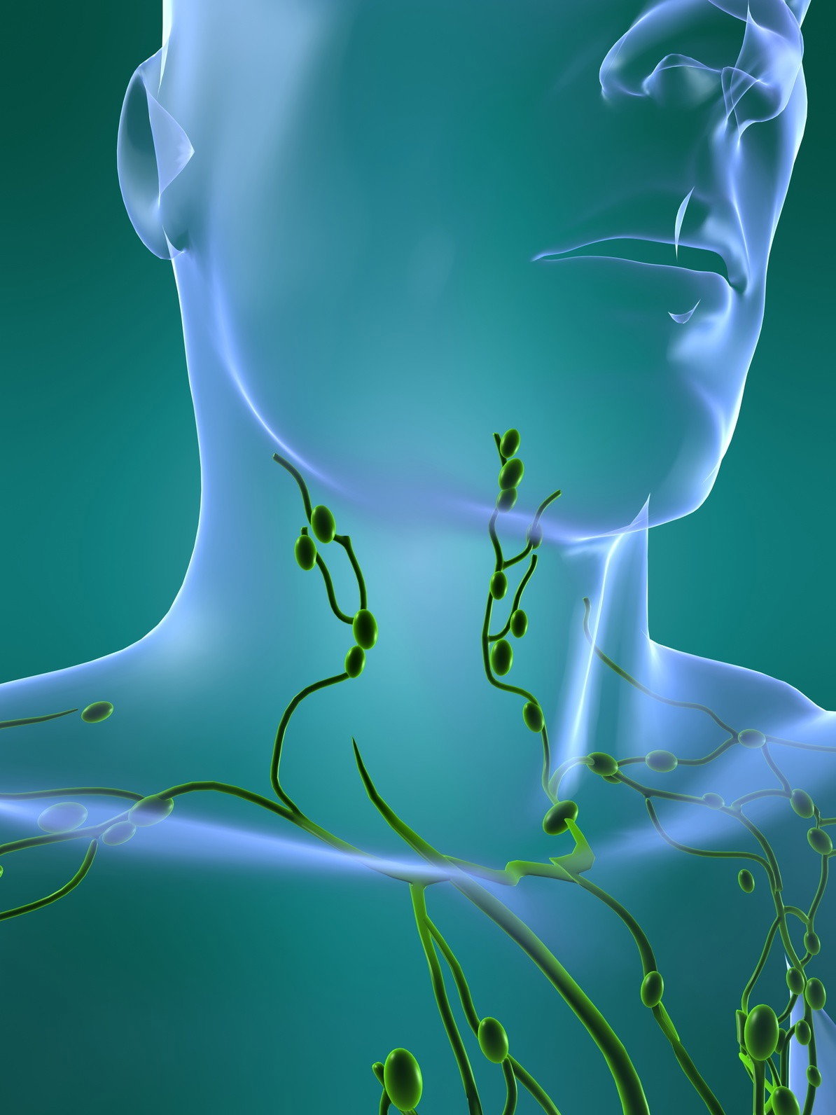 Lymphsystem