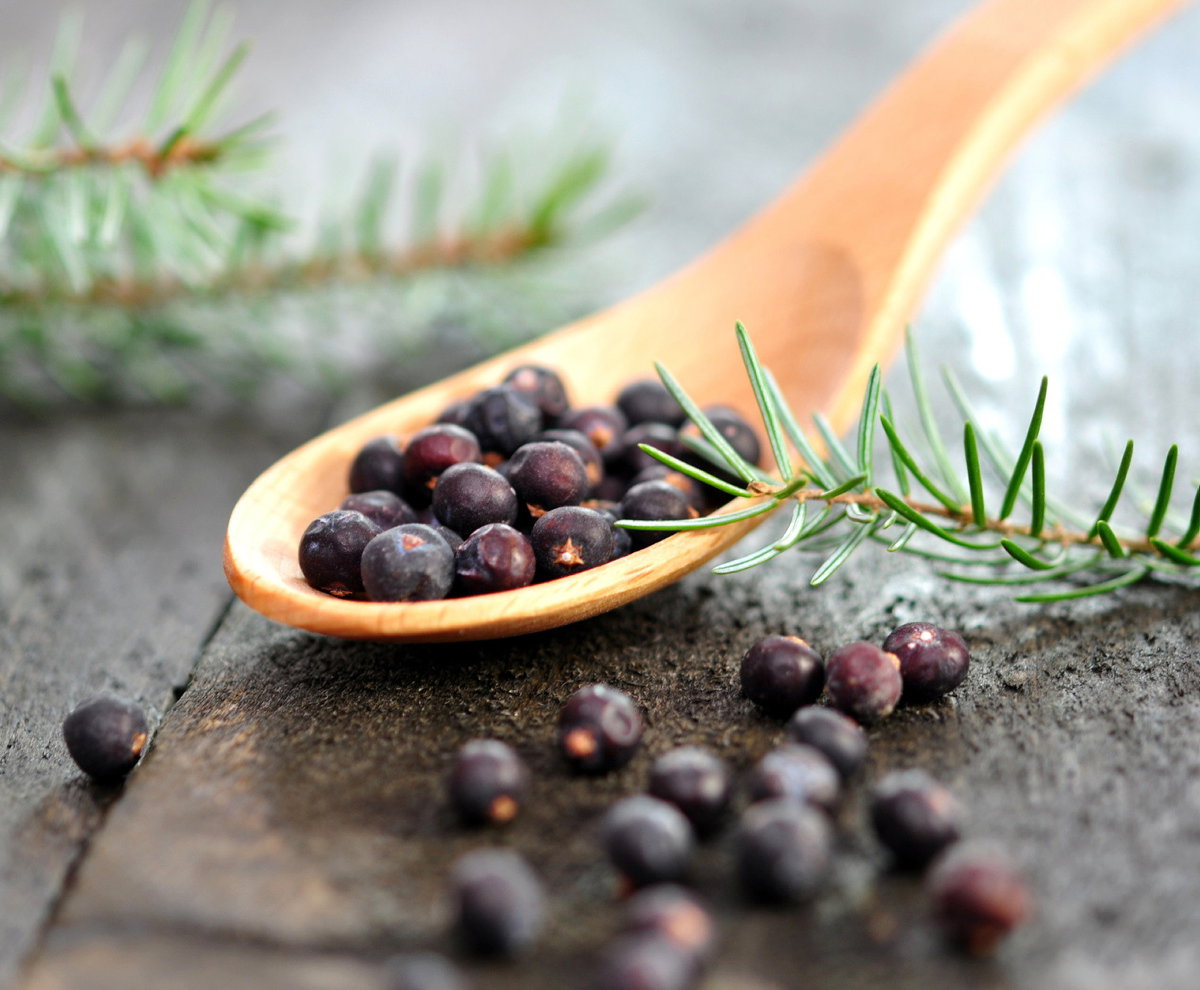 Wacholderbeeren auf einem Löffel