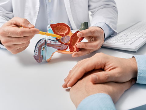 So wichtig ist die Prostata beim Sex für den Mann
