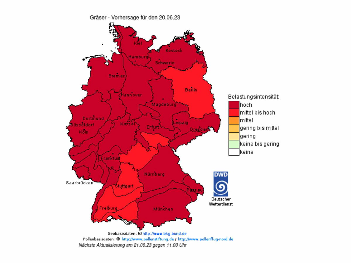 Pollenflug Index für Gräser