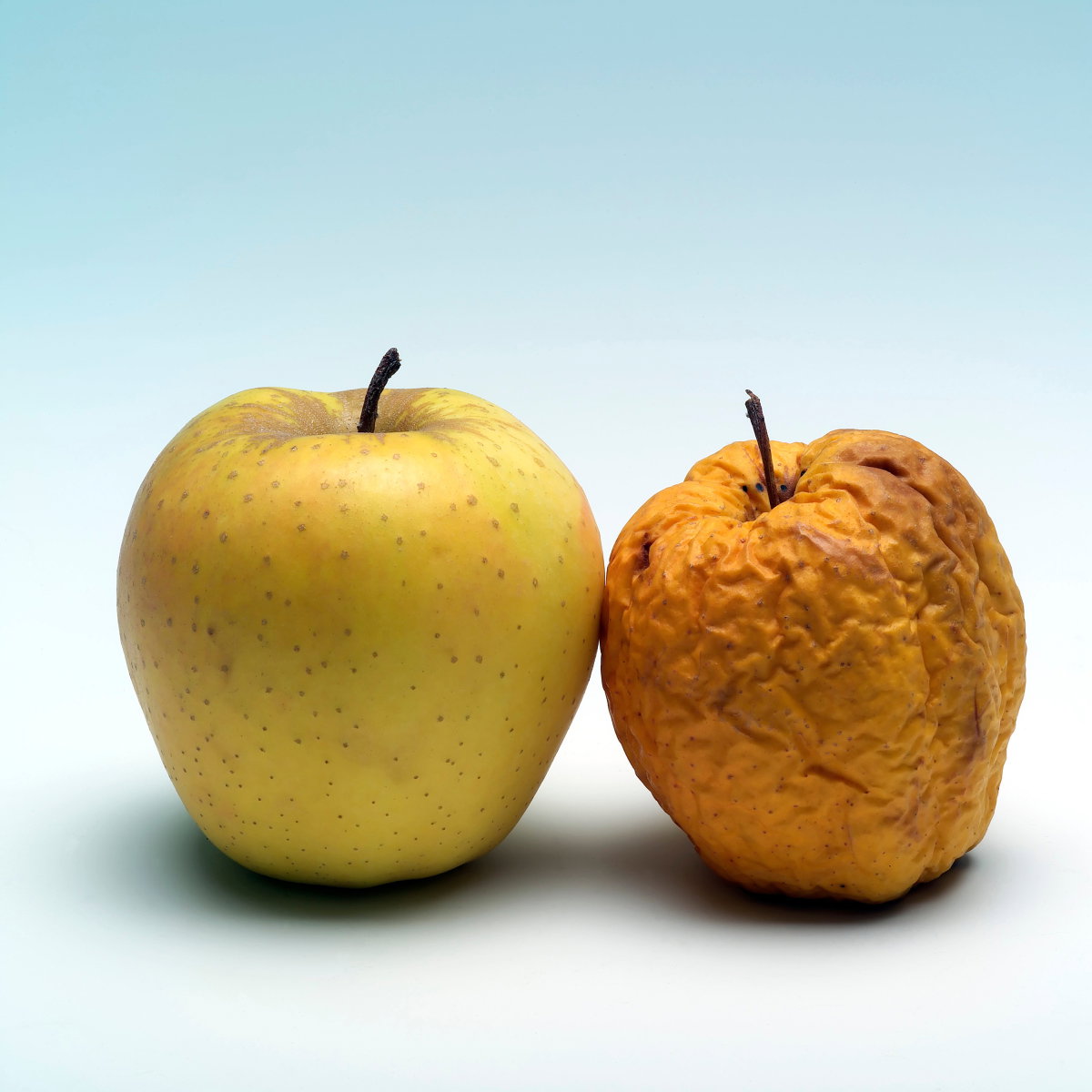 frischer und alter Apfel nebeneinander