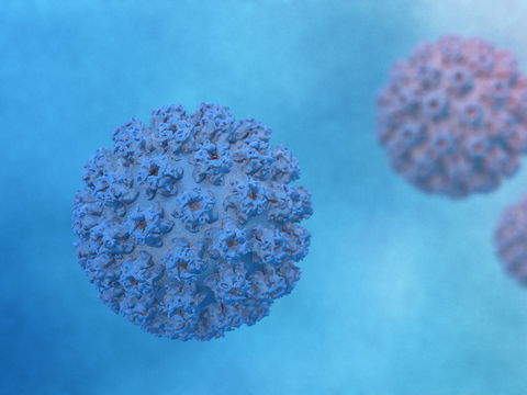 "Penisvirus": 31 Prozent aller Männer haben Humane Papillomviren