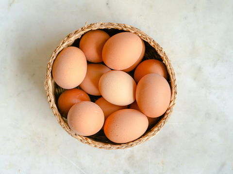 Bio, Freiland oder Bodenhaltung: Welche Eier sollte ich kaufen?