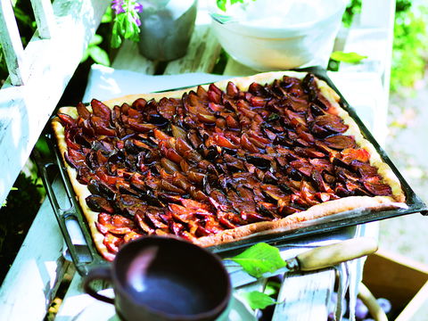 Rezept für saftigen Zwetschgenkuchen – vom Blech