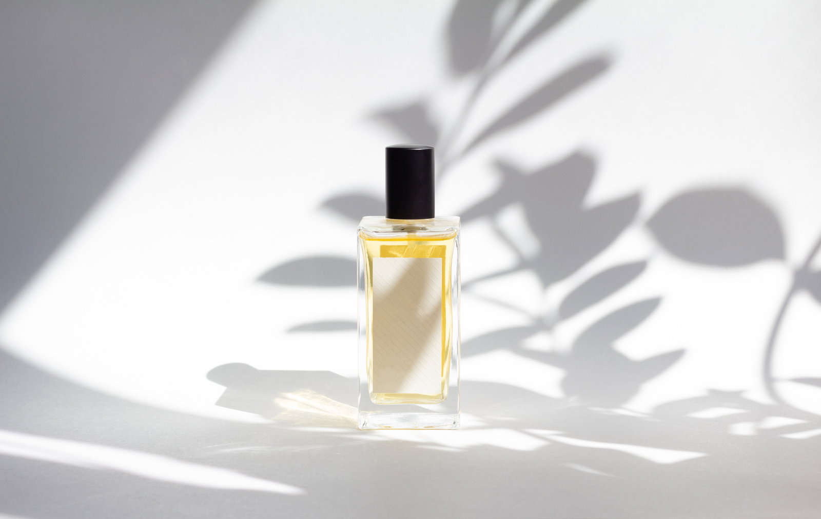 Parfum-Test: Gewinner und Verlierer im Überblick