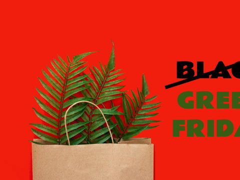 Green Friday: Immer mehr Unternehmen setzen ein Zeichen gegen den Black Friday