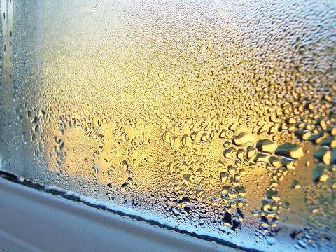 Kondenswasser am Fenster: Ursache & was tun?
