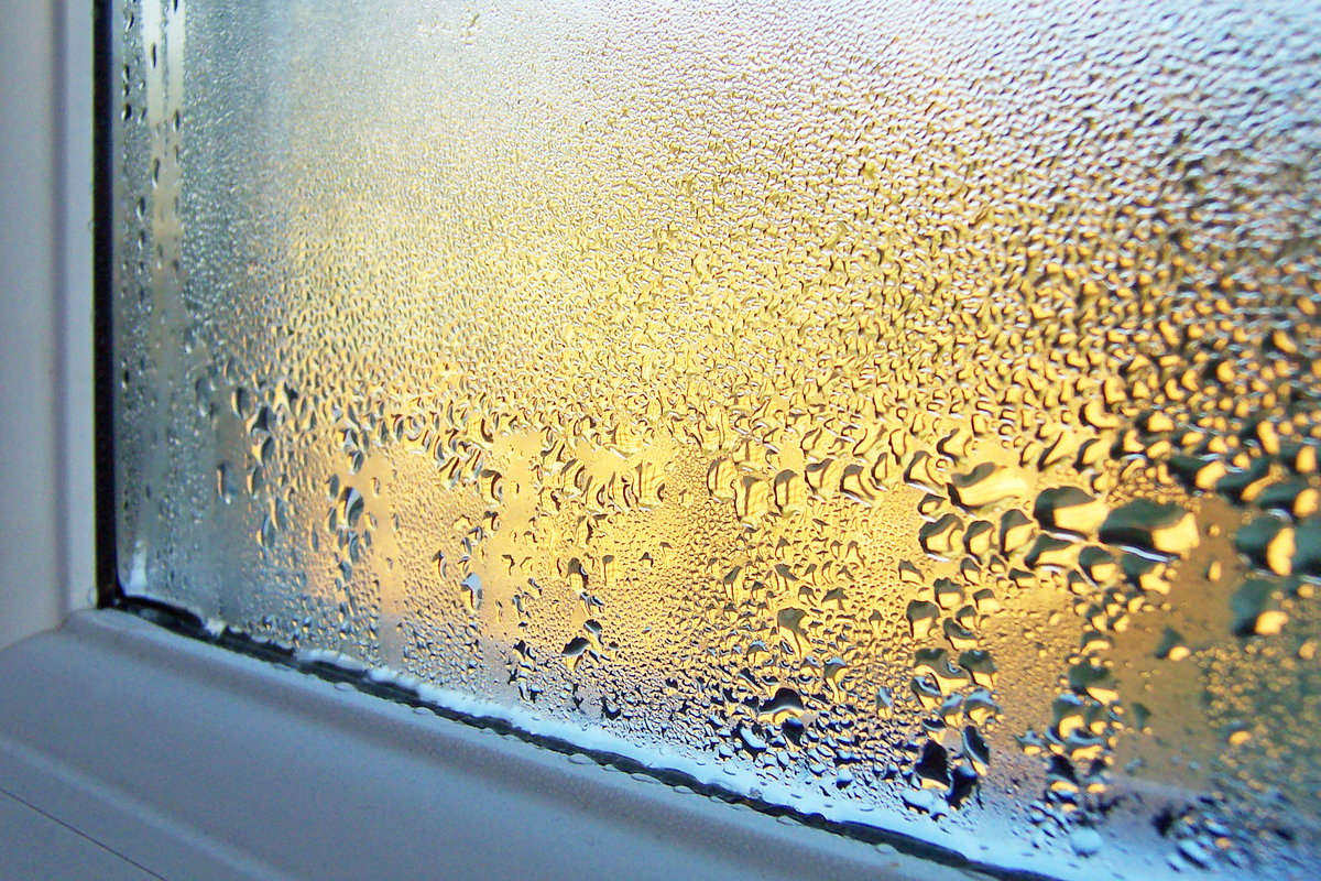 Kondenswasser am Fenster