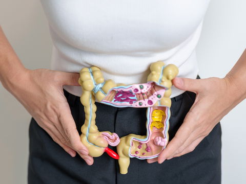 Morbus Crohn Selbsttest: Leide ich an der chronisch entzündlichen Darmerkrankung?