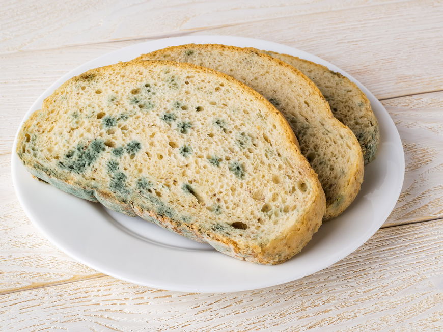 Brotscheibe mit Schimmel