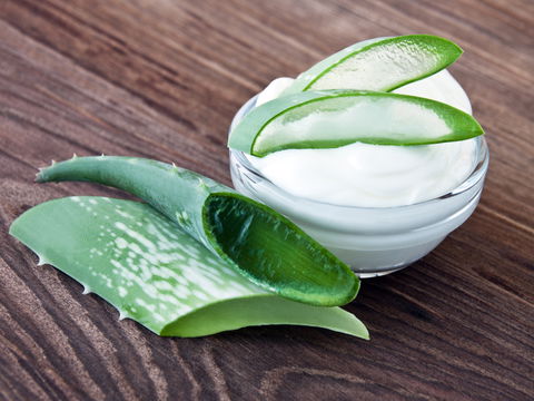 Verwöhnen Sie Ihre Haut mit Aloe vera: Die besten Rezepte für selbstgemachte Cremes