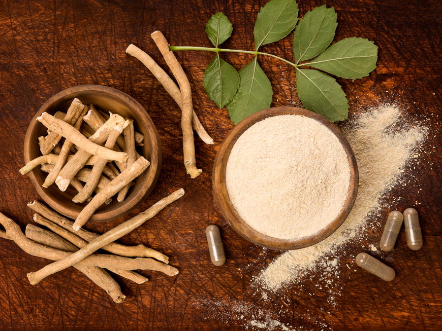 Ashwagandha als Pflanze und Pulver in einem Schälchen