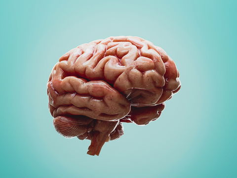 Hirnhautentzündung: Symptome, Ursachen und Selbsttest bei Meningitis