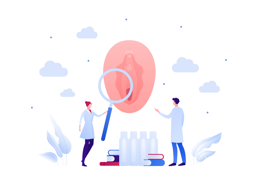 Grafik einer Vulva