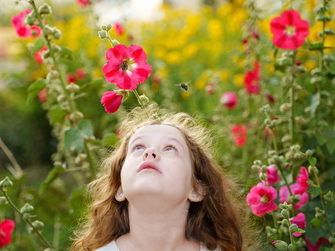 Bienenstich bei Kindern: Effektive Sofortmaßnahmen