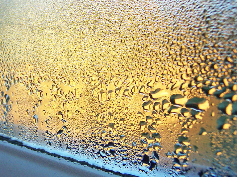 feuchte Fenster
