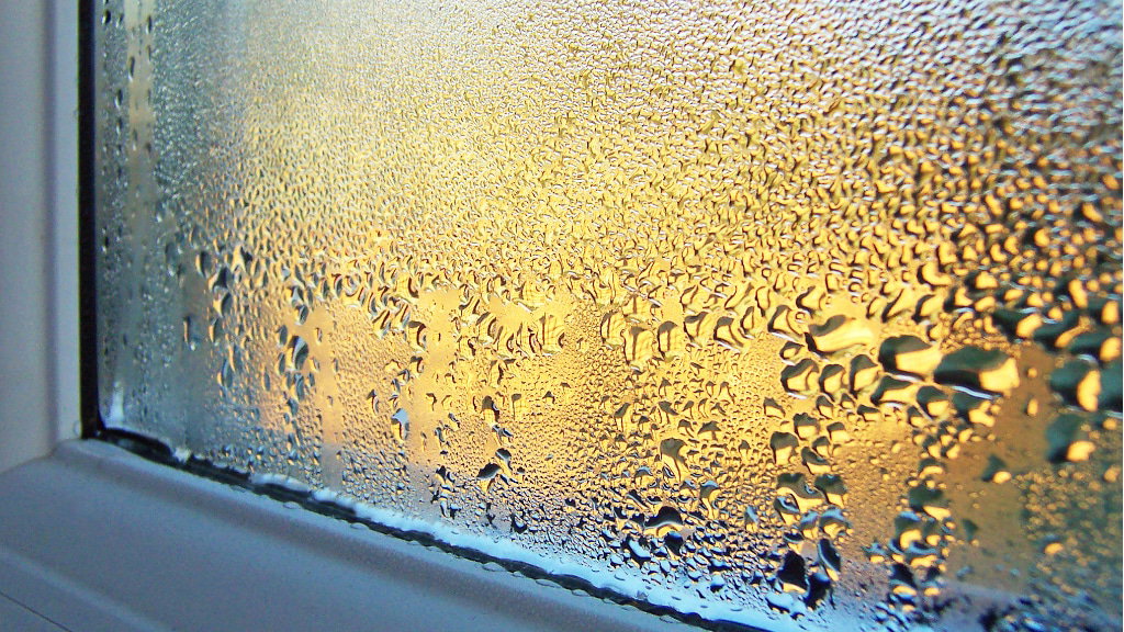 feuchte Fenster
