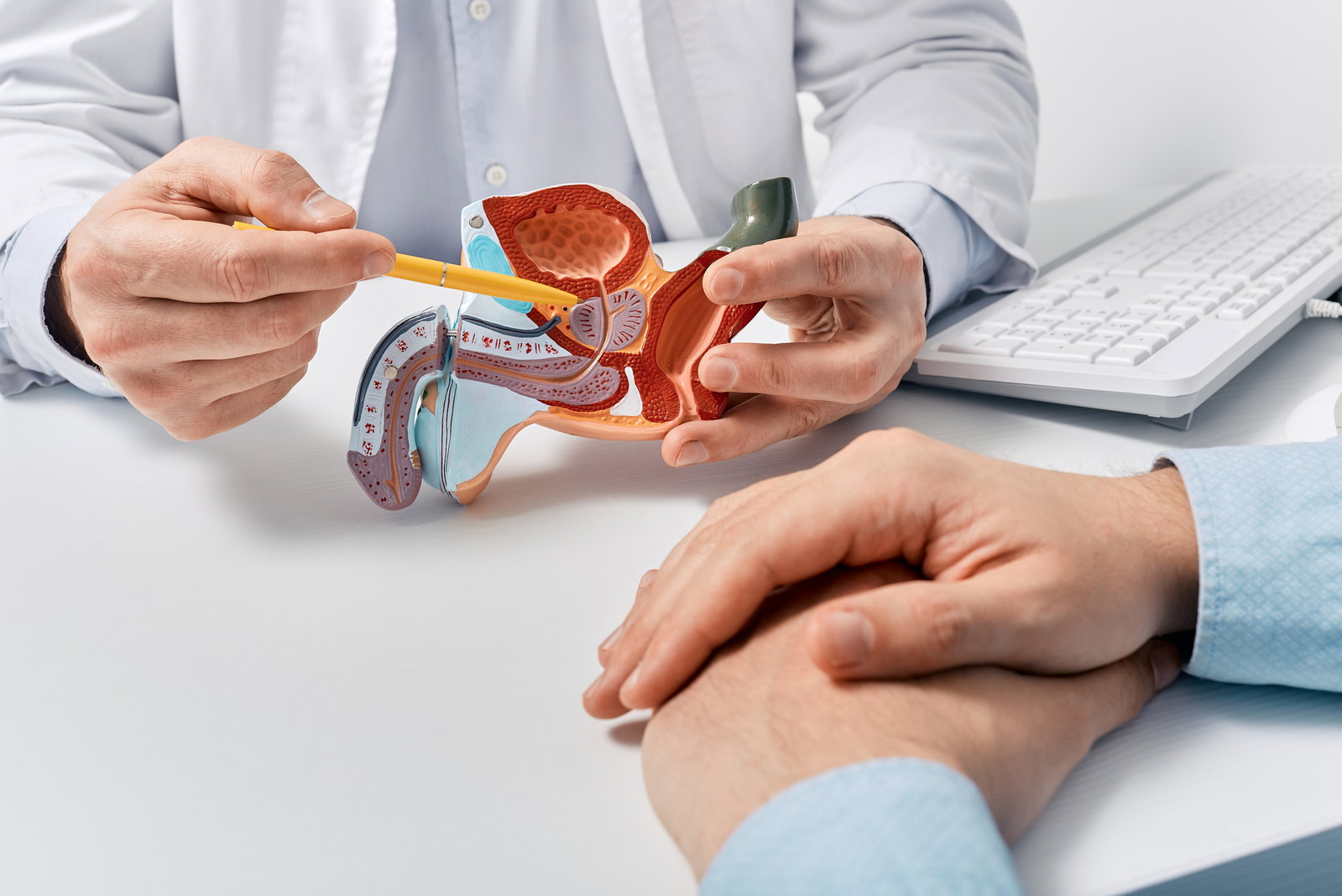 Prostata verkleinern: Das müssen Männer wissen
