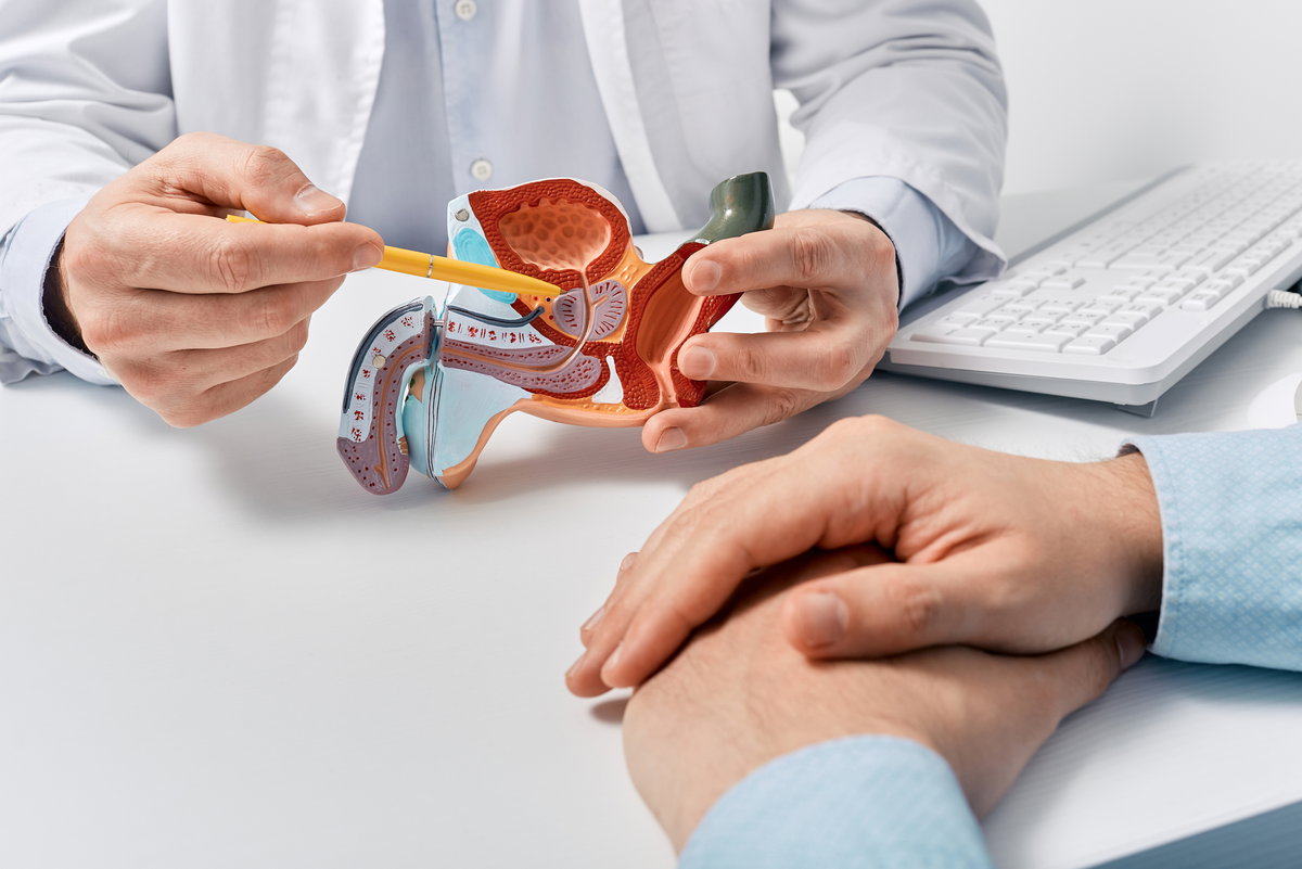 Arzt erklärt Patientem die Prostata