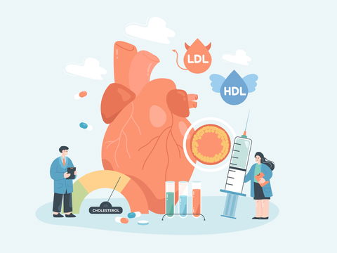 Warum Cholesterinerkrankungen ein Risikofaktor für Ihre Herzgesundheit sind