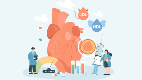 Warum Cholesterinerkrankungen ein Risikofaktor für Ihre Herzgesundheit sind