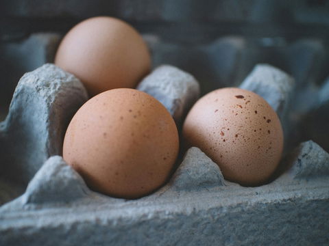 Lebensmittel-Rückruf: Eierspeise von Edeka und Rewe betroffen
