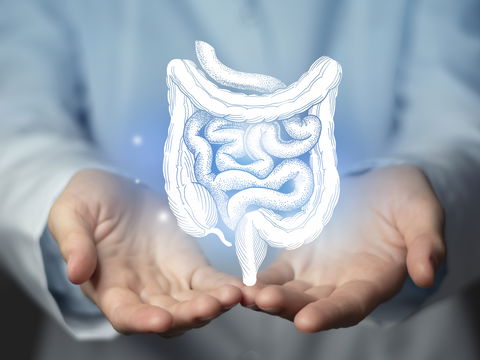 Morbus Crohn und Colitis ulcerosa: Die Gründe für den Anstieg chronischer Darmentzündungen
