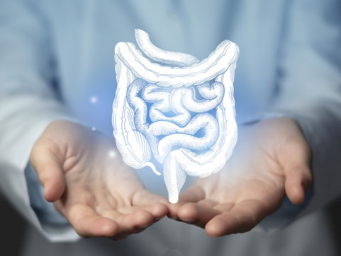 Morbus Crohn und Colitis ulcerosa: Die Gründe für den Anstieg chronischer Darmentzündungen