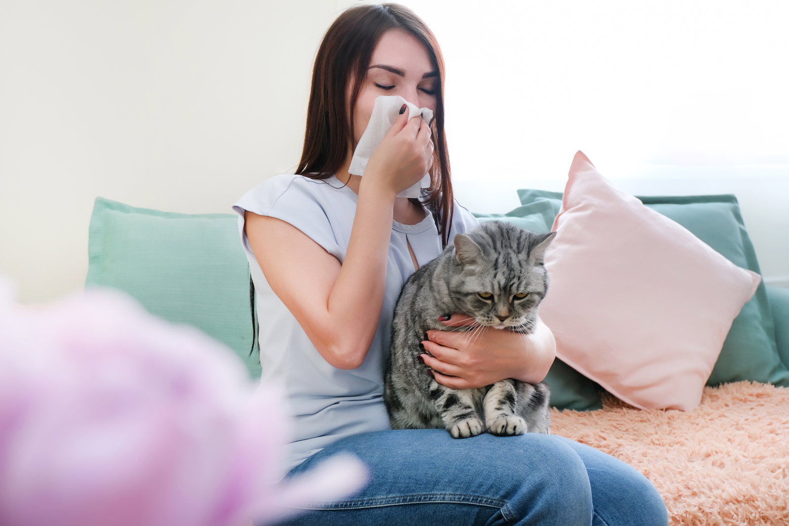 Hausmittel bei Katzenallergie: Was lindert natürlich die Symptome?