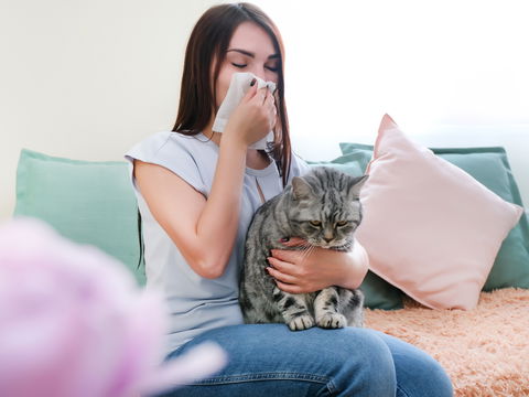 Hausmittel bei Katzenallergie: Was lindert natürlich die Symptome?