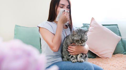 Hausmittel bei Katzenallergie: Was lindert natürlich die Symptome?
