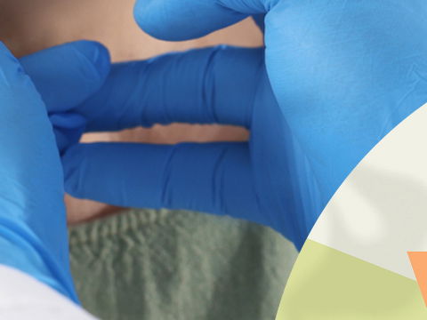 Was das Super-Organ Schilddrüse alles kann: Expertin Hannah Hauser klärt auf