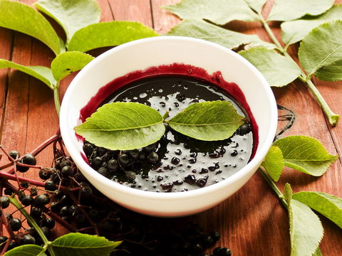 Holunderbeeren: Natürliches Antibiotikum – aber das sollten Sie wissen