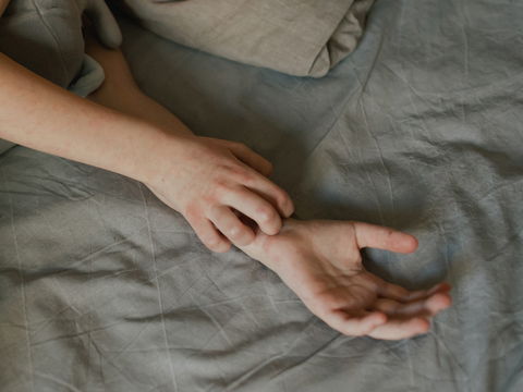 Ungeziefer im Bett: Vorsicht, kleine Schädlinge!