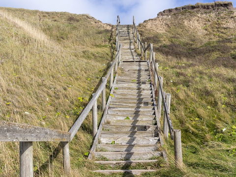 Wellnessurlaub an der dänischen Nordsee: Ferienhaus, Sauna und Natur