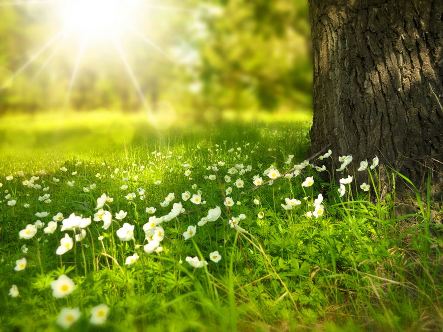 Frühlingsanfang mit Sonnenschein und der richtigen Vitamin Versorgung