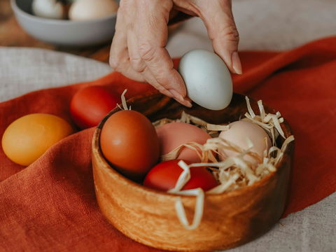 Ostereier-Check 2026: Wie viele dürfen Sie wirklich essen? Die überraschende Antwort für Ihren Stoffwechsel