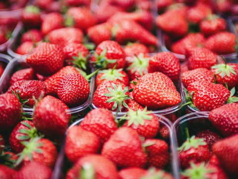 Anti-Aging-Wunder: Warum wir Erdbeeren jetzt täglich essen sollten