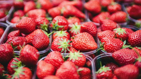 Anti-Aging-Wunder: Warum wir Erdbeeren jetzt täglich essen sollten