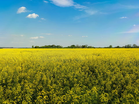 Wetter-Wende nach der „Kalten Sophie“: Lockt zu Pfingsten der erste 30-Grad-Kracher?
